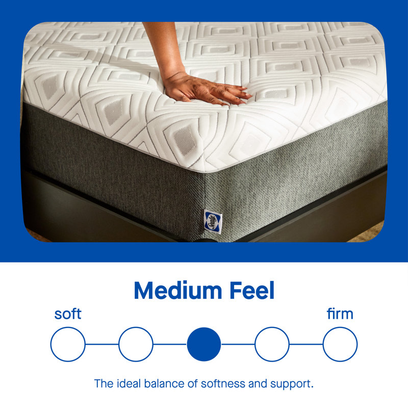 Sealy to Go 12" Medium Memory Foam Mattress in a Box, Queen