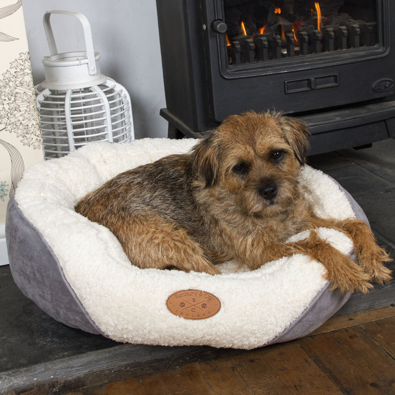 Chisdock Faux Suede Pet Bed, Small (60 cm L x 50 cm W)