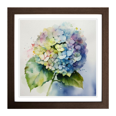 Hydrangea Watercolour No.4 - Framed Print