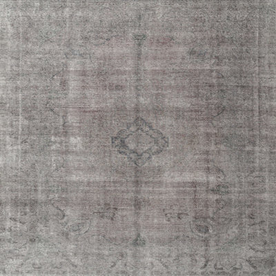 Ahtsham Oriental Indoor Rug