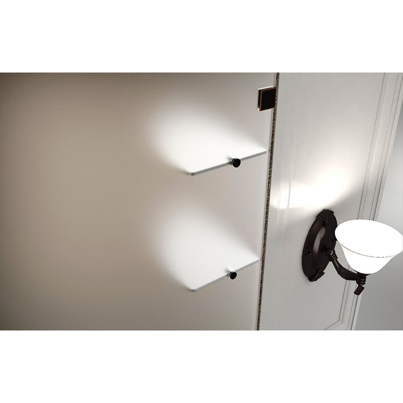 Nautis GS 43 x 72 Hinged Completely Frameless Shower Door, Frosted, Brushed Stainless Steel