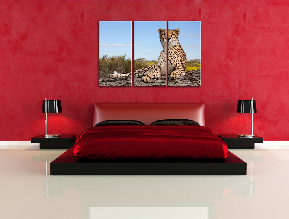 3-tlg. Leinwandbilder-Set „Gepard in Savanne“, Fotodruck