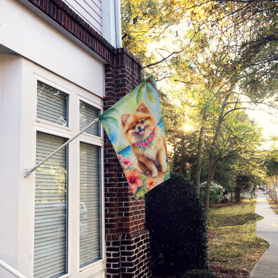 Double Sided 40'' H x 28'' W Polyester Animal House Flag