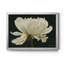 Aglow - reproduction d'art sur toile-750066400-750066407