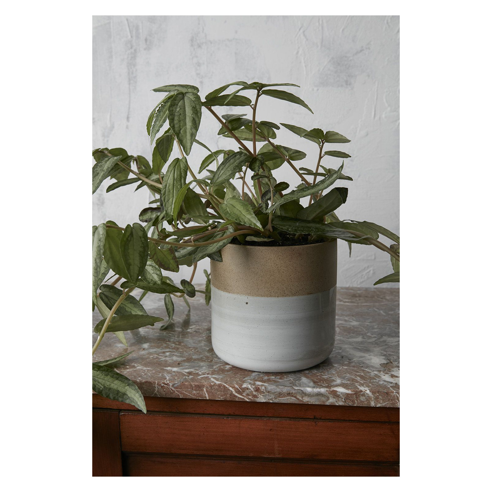 Hico Ceramic Pot Planter