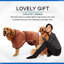 Serviette de bain pour chien avec nom et peignoir pour chien-86122086-86122094-86380108