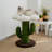 1 Tiers Cat Tree with Perch,Scratching Posts