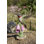 Animals Weather Resistant Water Resistant UV Resistant Polyresin Garden Statue
