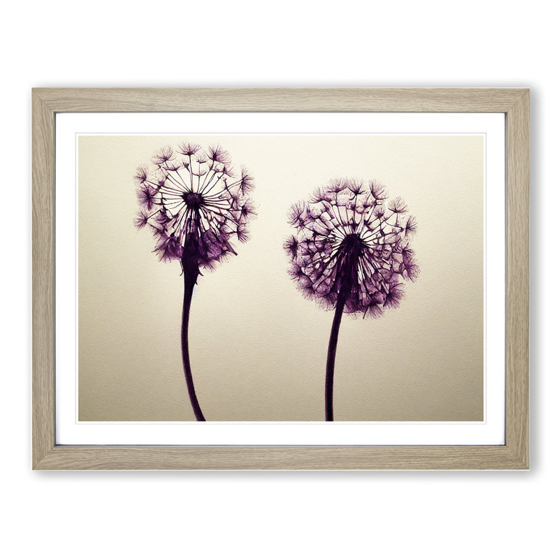 Dandelion Watercolour - Framed Print, 46cm H x 64cm W x 2cm D, Oak