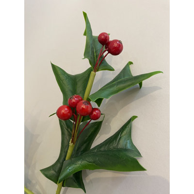 HOLLY SPRAY S.