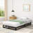 Galatia 6.3'' Low Profile Bed Frame with Wood Slats No Box Spring Needed-294283429