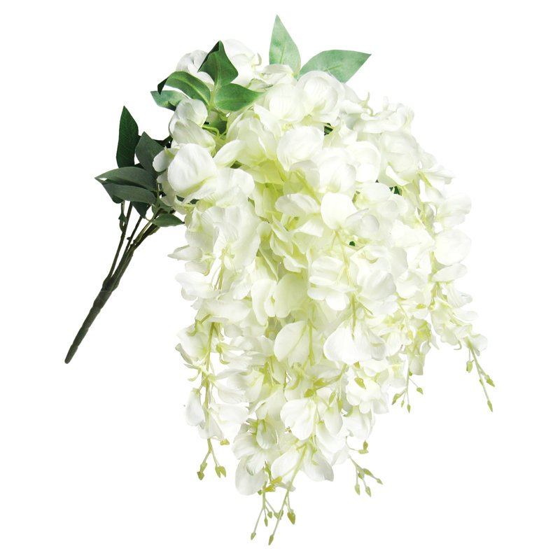 Tige de glycine suspendue, Crème