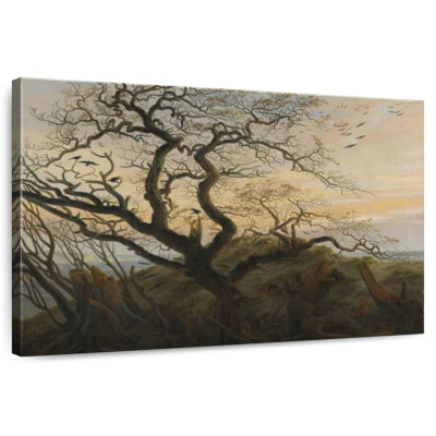 Harnek, arbre des corbeaux