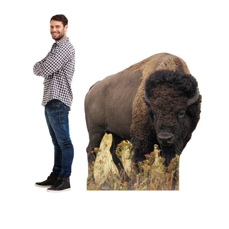 Life-Size Dark Brown Bison Cardboard Standup