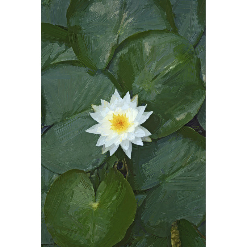 «Leilane White Lotus On Canvas» par Jeff Pica, reproduction, H 18 po x l 12 po