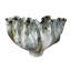 Beluga Handmade Ceramic / Porcelain Table Vase