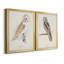 " Barn Owl " 2 - Pieces-368918795-368918796