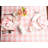 Mya-Rose Cotton Plaid Square Napkin-1568759171