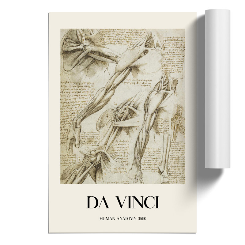 Human Anatomy Vol.1 by Leonardo Da Vinci - No Frame Print, 42cm H x 30cm W x 0.1cm D