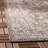 Amedee Performance Oriental Indoor/Outdoor Area Rug-422931391-493816761