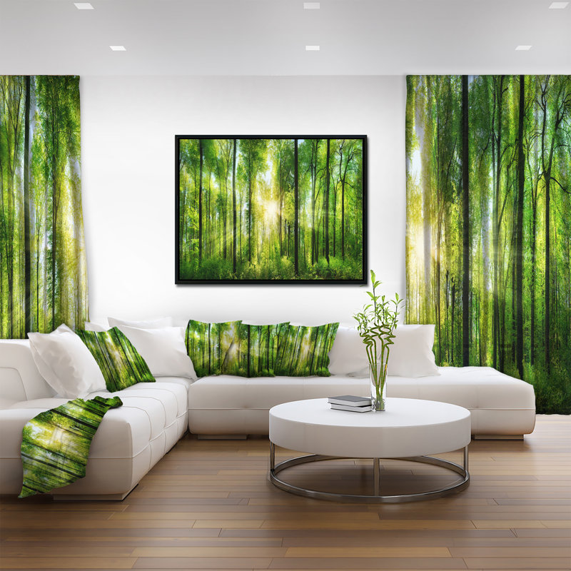 «Forest with Rays of Sun Panorama», photographie, H 12 po x l 20 po x P 1 po, Toile sur cadre