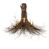 Drager 8 - Light Chandelier