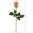 Rose Arrangement-623892847-623892844