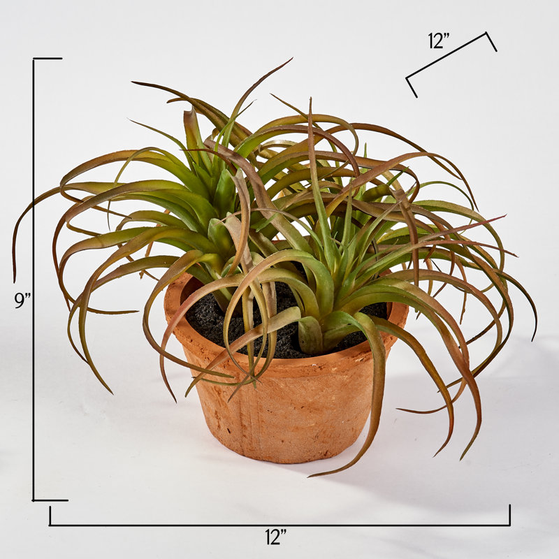 Succulent pour plante de serpent artificiel 4" en pot