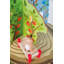 Dollhouse Furniture & Accessories