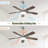 42 Inch Ceiling Fan 5 Blades Noiseless Reversible Dc Motor Remote Control With Led Light-238372213-238372212