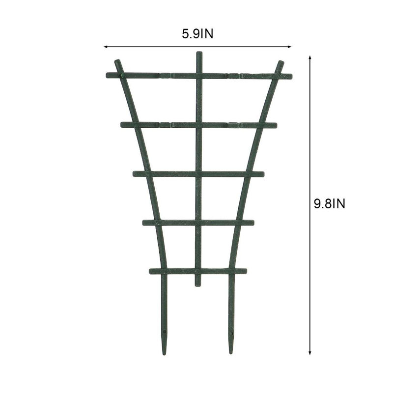 Paquet de 6 plantes Paapanen pour plantes en pot