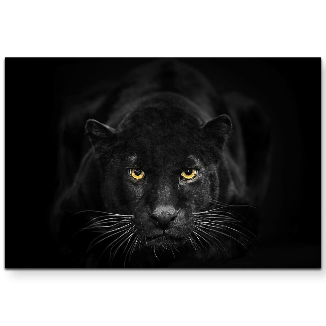 Leinwandbild Schwarzer Panther