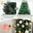Pine Christmas Tree-1422752352