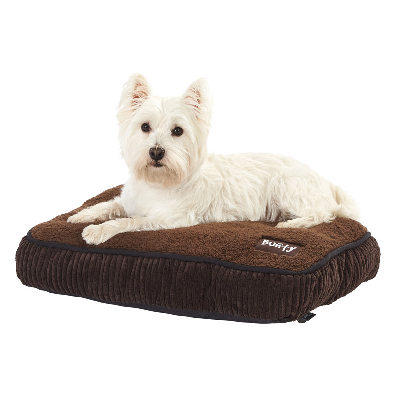 Arlot Polyester Pet Bed, 47 cm B x 31 cm T x 10 cm H