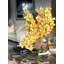 Cymbidiums In Moon Vase-332097416