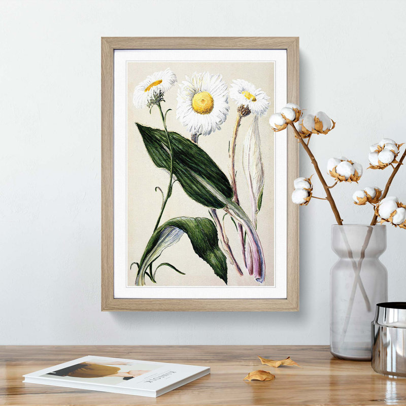 Mountain Daisies by Sarah Featon - Picture Frame Painting Print, 36cm H x 27cm W x 2cm D, Oak Framed