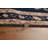 Wool Oriental Indoor Rug