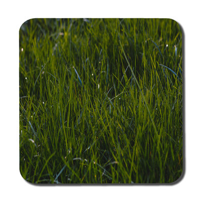 Dubreuze Square 6 Piece Coaster Set