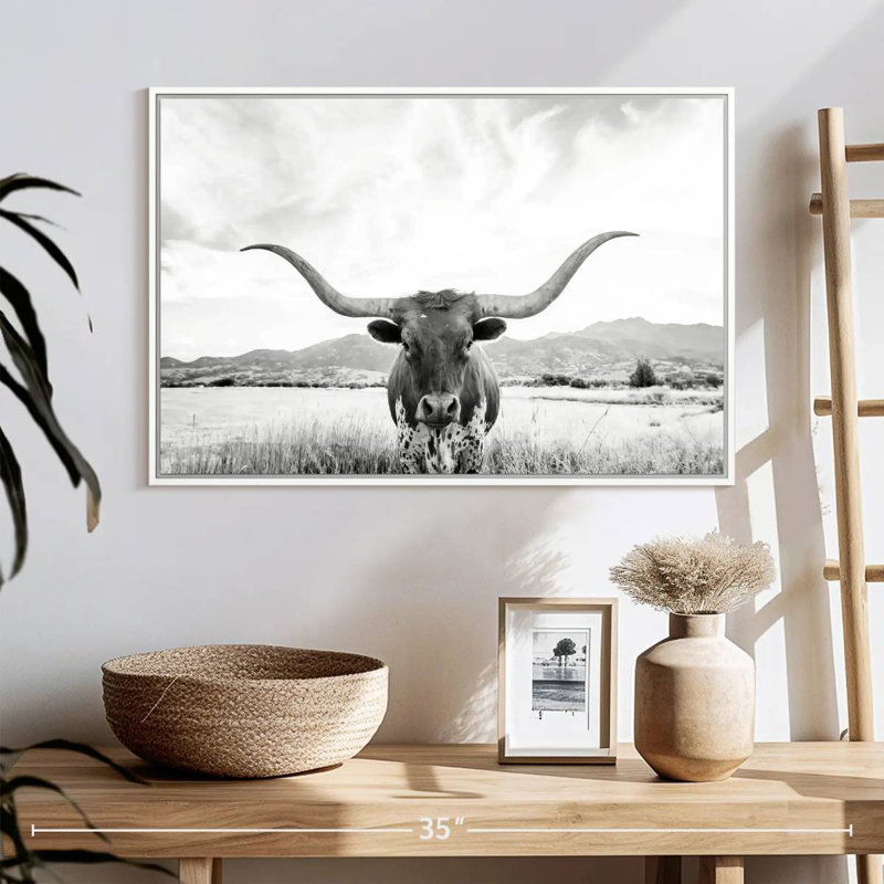 Longhorn Texas BW, Cadre flottant blanc, 25 po x 17 po