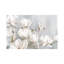 «White Magnolia» par Eva Watts, reproduction d'art sur toile tendue-74873996-56008931