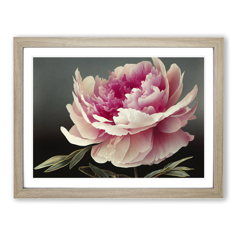 Uplifting Peony Flower - Framed Print, 34cm H x 46cm W x 2cm D, Oak