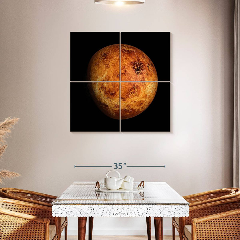 Oberle Venus Close Up, 38" H x 38" W