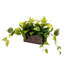 27.9cm Faux Fir Plant