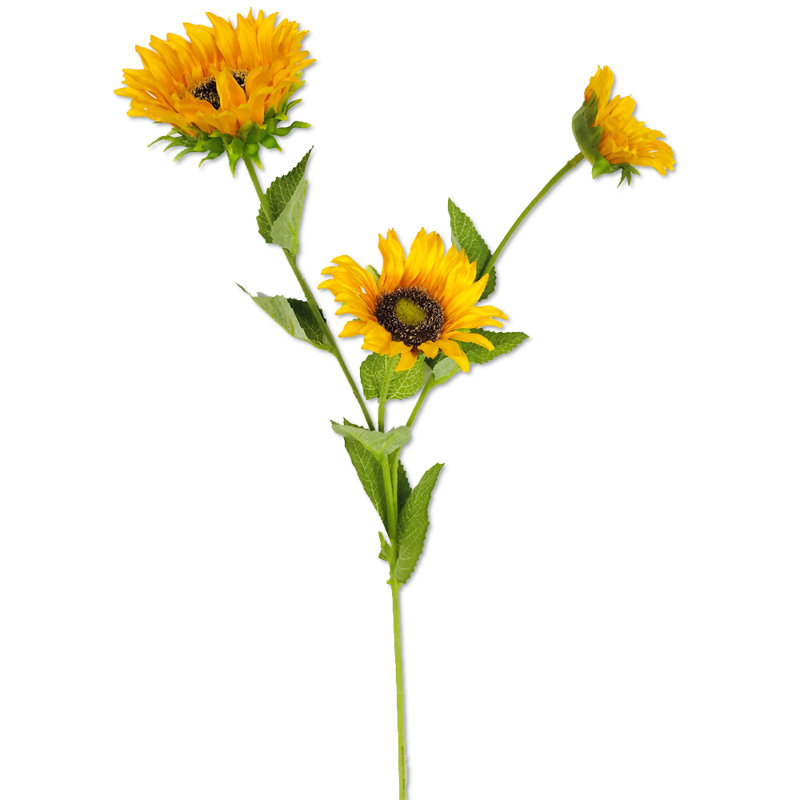 Tige de tournesol, Jaune / Vert / Brun