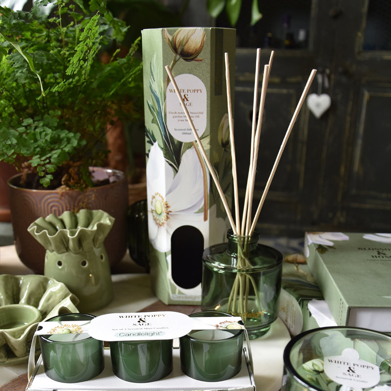 Plant / Floral Reed Diffusers And Sticks