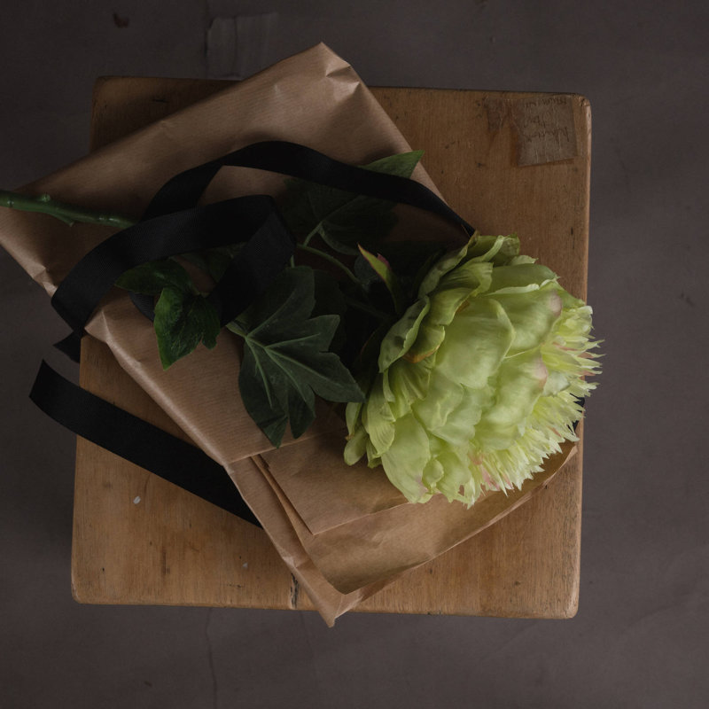 Anastasija Arrangement