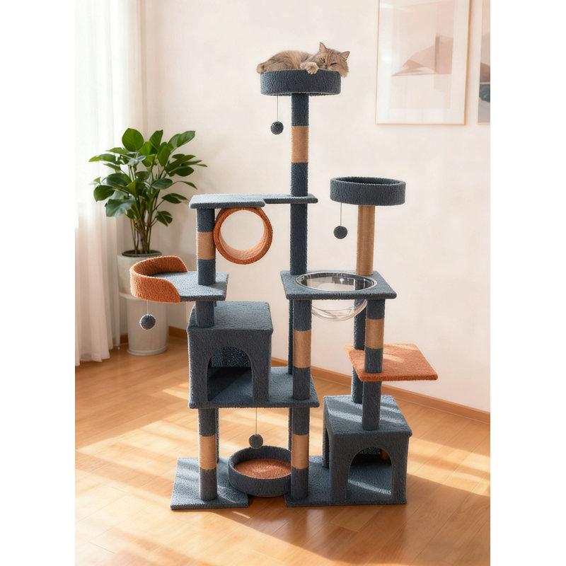 Structure d'escalade pour chat 63,78 pouces