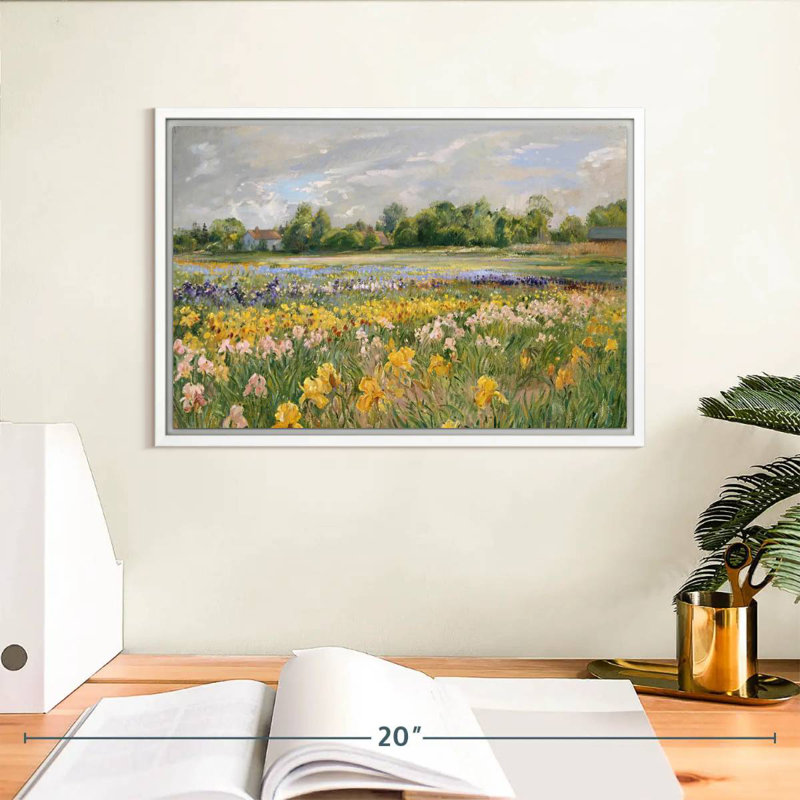 Chalets et champ d'iris, Cadre flottant blanc, 13 po x 9 po