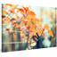 1 Piece Wrapped Canvas Wall Art-259341461