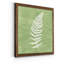 Reproduction sur toile encadrée « Forest fougères III-Premium »-55832209-55832222-55786950